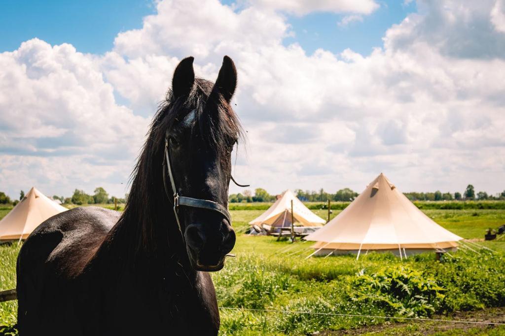Smuk Lytse Bell Tent Echtenerbrug Ngoại thất bức ảnh